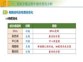 专题4.2 有丝分裂过程中相关变化及观察实验（课件）-2025年高考生物一轮复习考点归类（新高考通用）