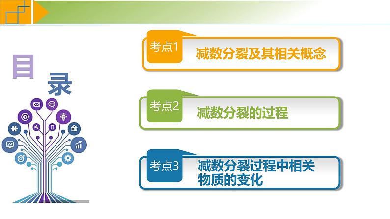 专题4.3 减数分裂和受精作用（课件）-2025年高考生物一轮复习考点归类（新高考通用）05