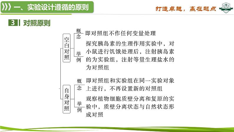 专题突破1 实验技能解题策略（课件）-2025年高考生物一轮复习考点归类（新高考通用）04