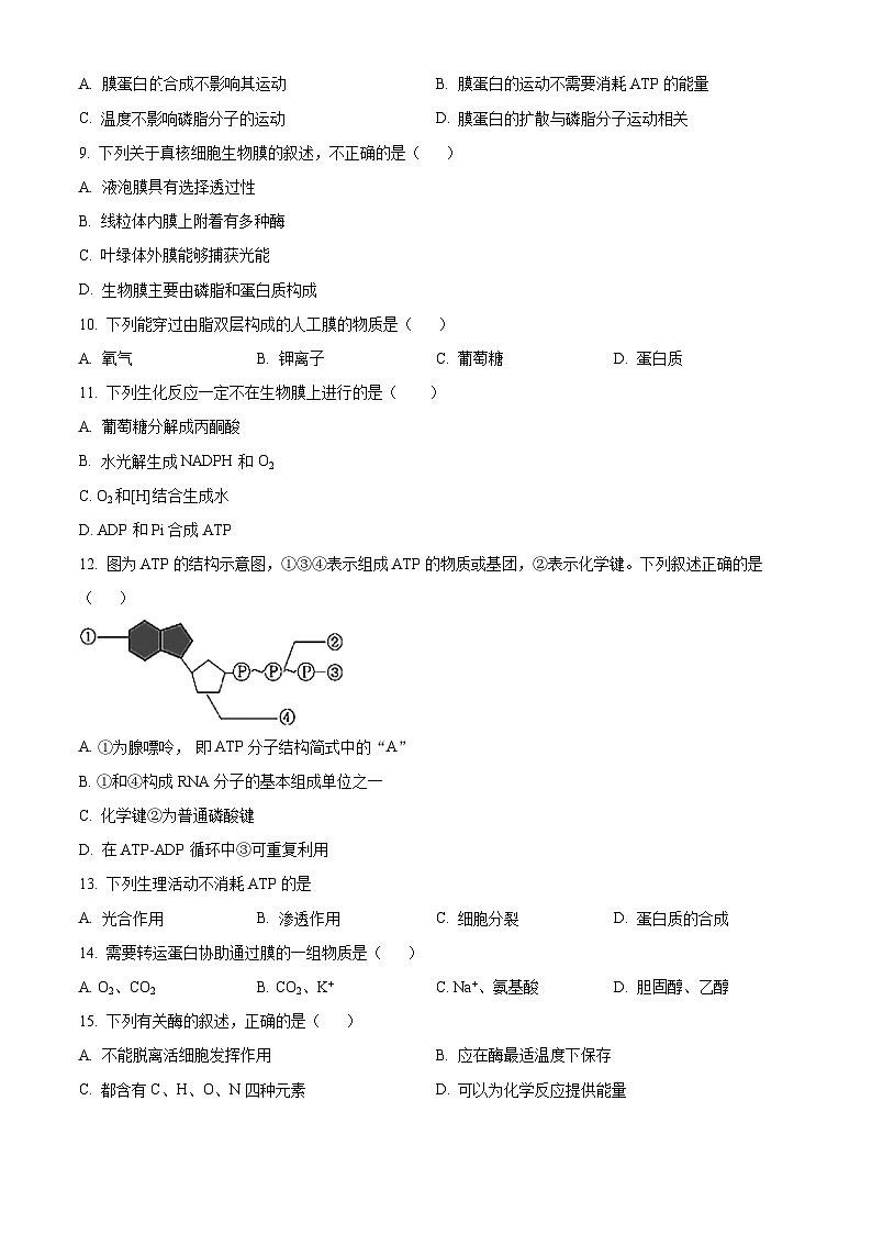 北京市交通大学附中2023-2024学年高一12月月考生物试题  Word版无答案第2页
