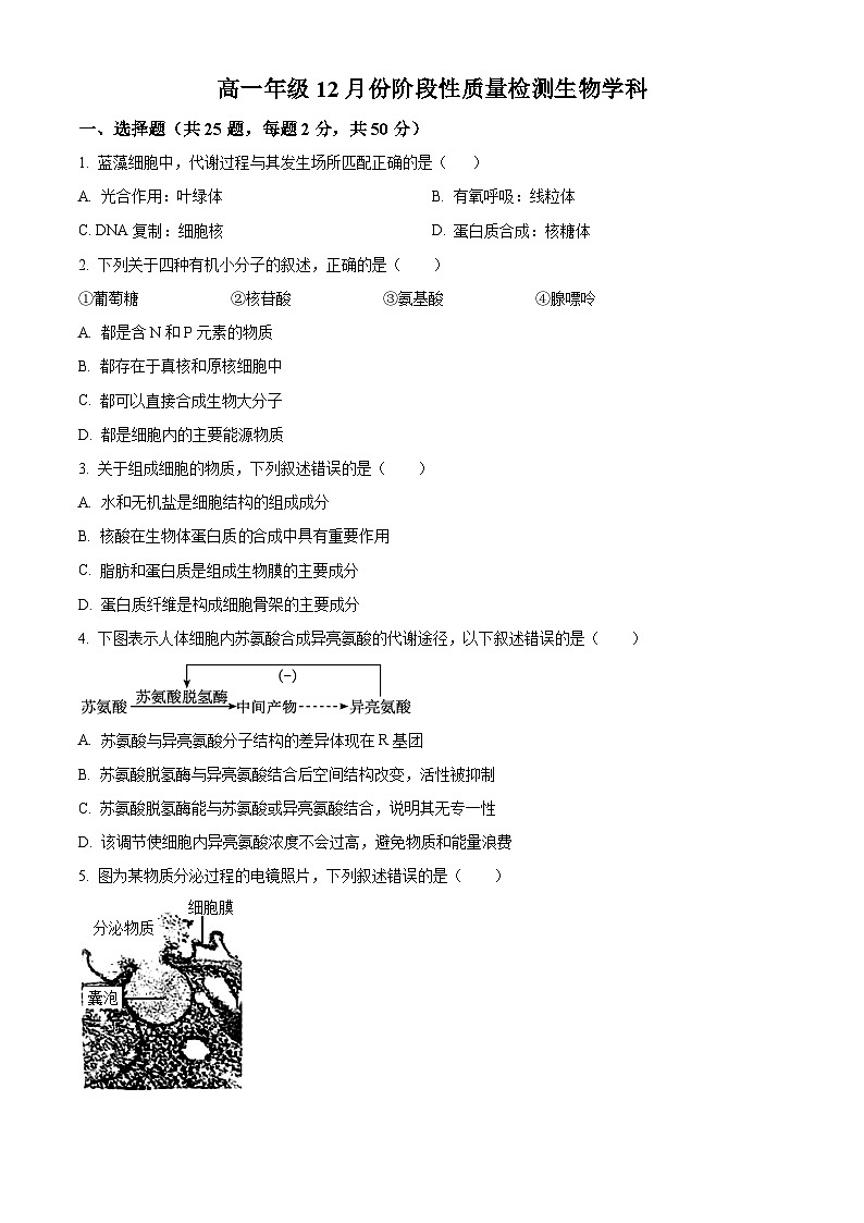 北京市首都师范大学附中2023—2024学年高一12月月考生物试题  Word版无答案第1页