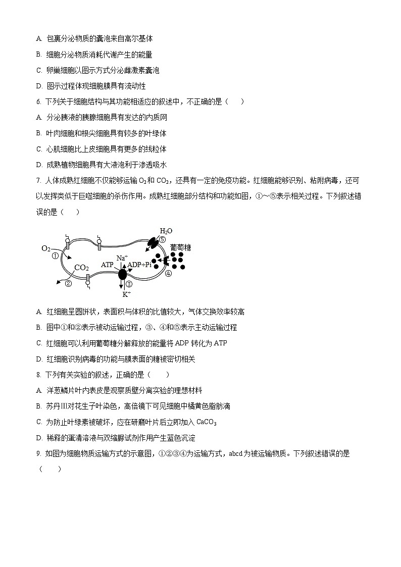 北京市首都师范大学附中2023—2024学年高一12月月考生物试题  Word版无答案第2页