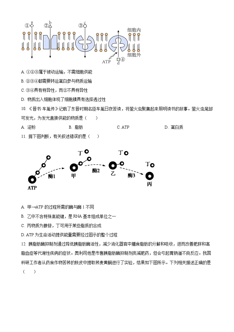北京市首都师范大学附中2023—2024学年高一12月月考生物试题  Word版无答案第3页