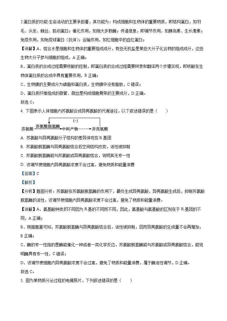 北京市首都师范大学附中2023—2024学年高一12月月考生物试题  Word版含解析第3页