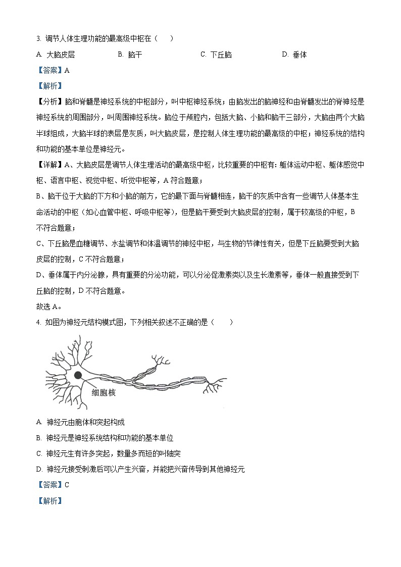北京市顺义区第二中学2023-2024学年高二上学期10月月考生物试卷（Word版附解析）02