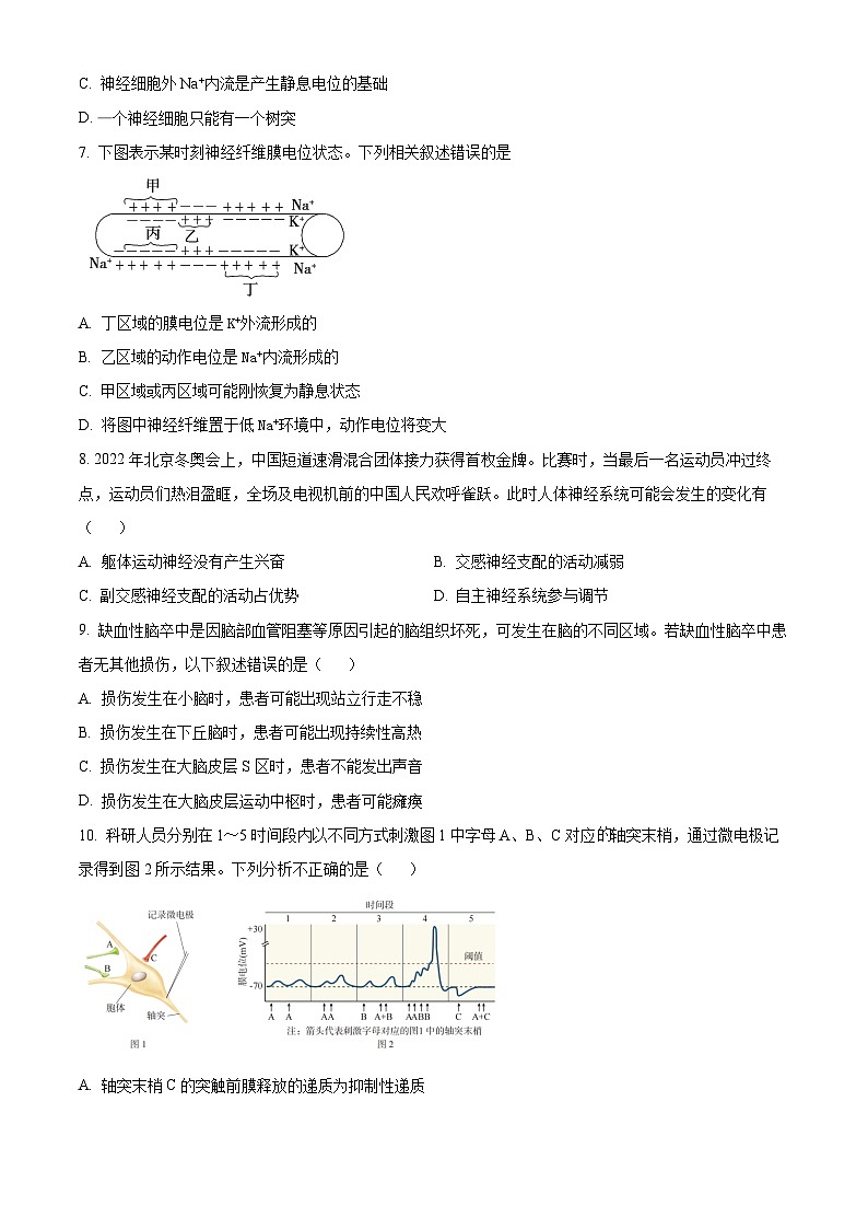 北京市顺义区第二中学2023-2024学年高二上学期10月月考生物试卷（Word版附解析）02