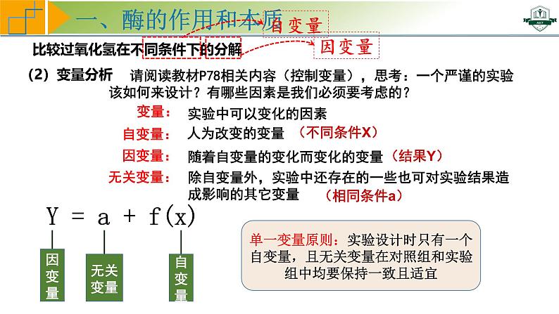 专题3.1 降低化学反应活化能的酶（课件）-2025年高考生物一轮复习考点归类（新高考通用）第5页