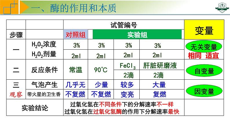 专题3.1 降低化学反应活化能的酶（课件）-2025年高考生物一轮复习考点归类（新高考通用）第6页