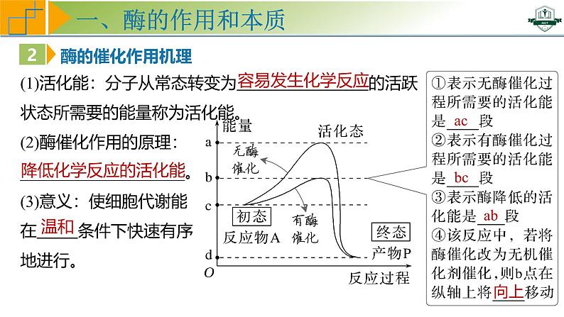 专题3.1 降低化学反应活化能的酶（课件）-2025年高考生物一轮复习考点归类（新高考通用）第7页