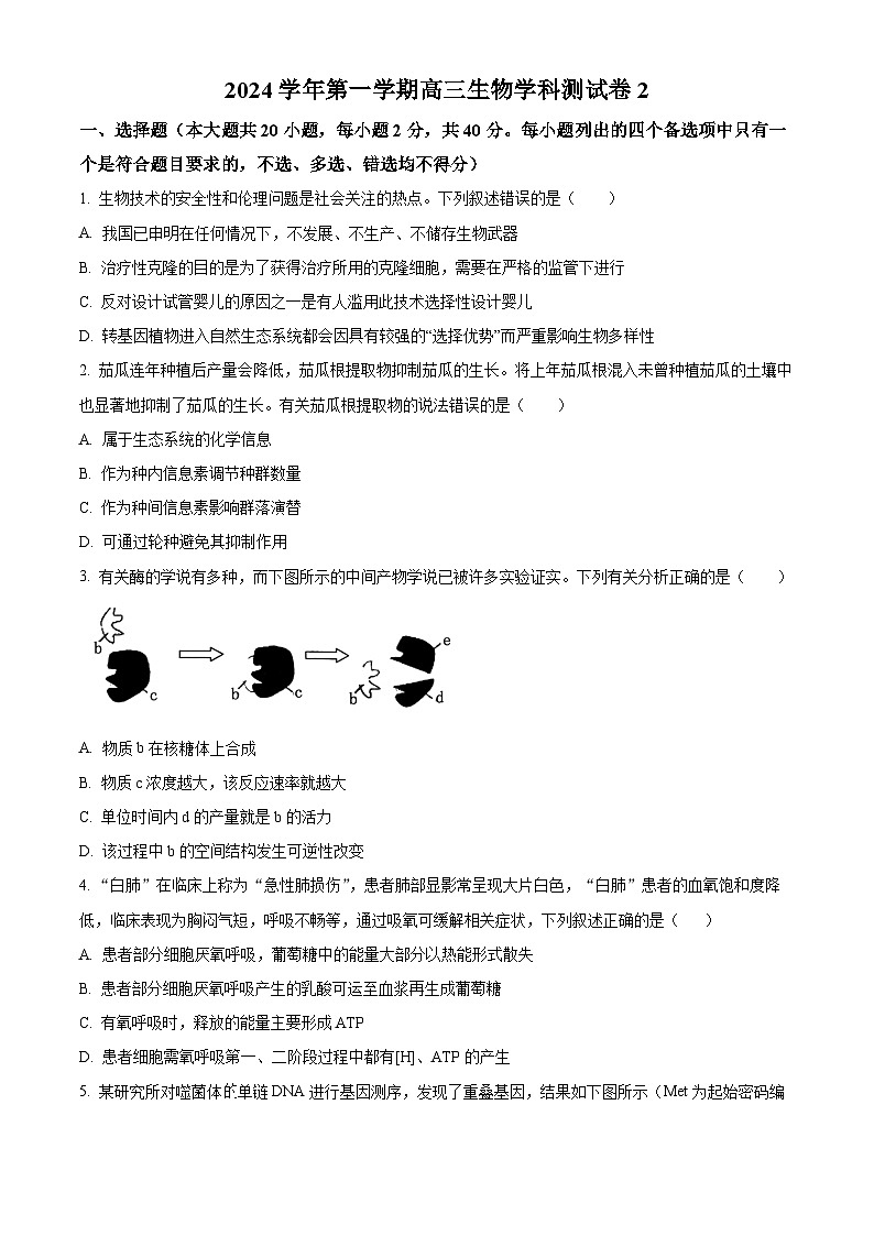 浙江省杭州市学军中学2024-2025学年高三上学期阶段性测试2生物试卷（Word版附解析）01