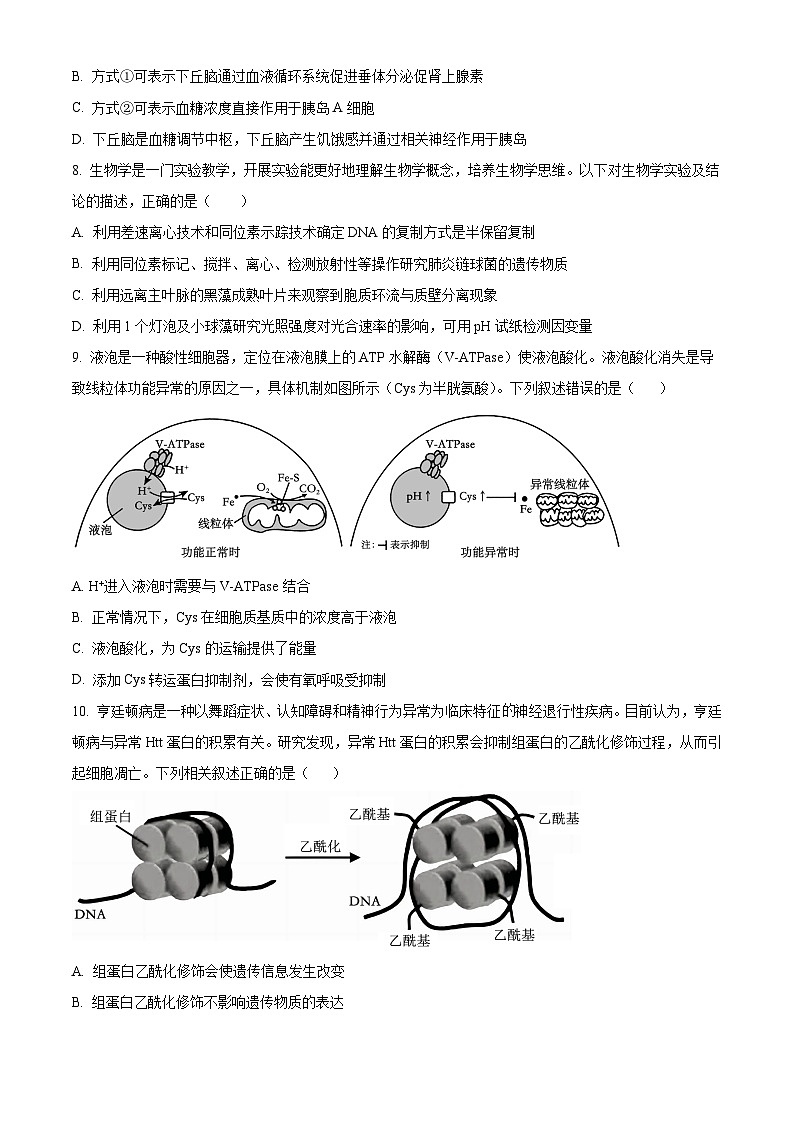 浙江省杭州市学军中学2024-2025学年高三上学期阶段性测试2生物试卷（Word版附解析）03