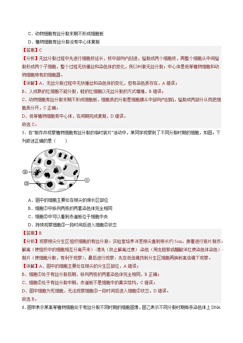 单元检测卷04  细胞的生命历程（解析版）第3页