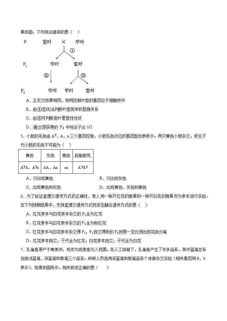 单元检测卷05  基因的传递规律（原卷版）第2页