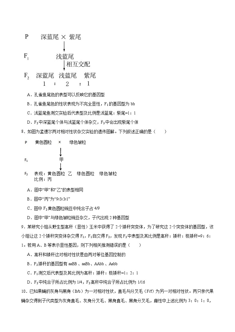 单元检测卷05  基因的传递规律（原卷版）第3页