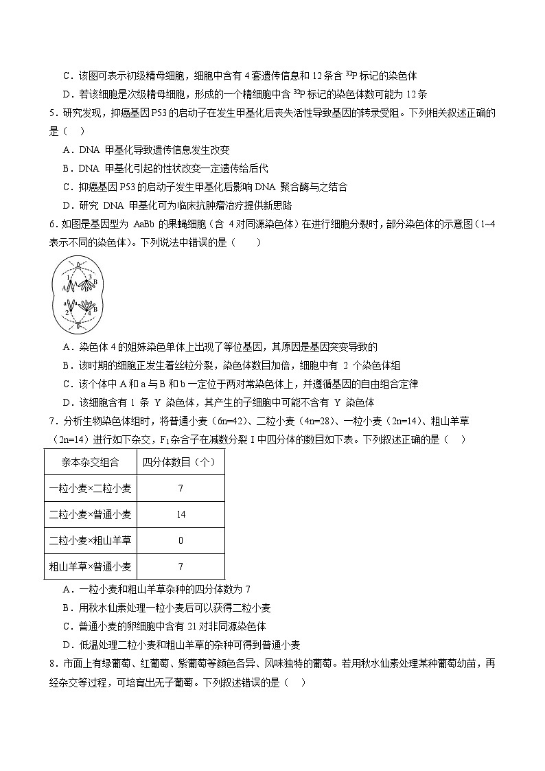 单元检测卷07  变异与进化（原卷版）第2页