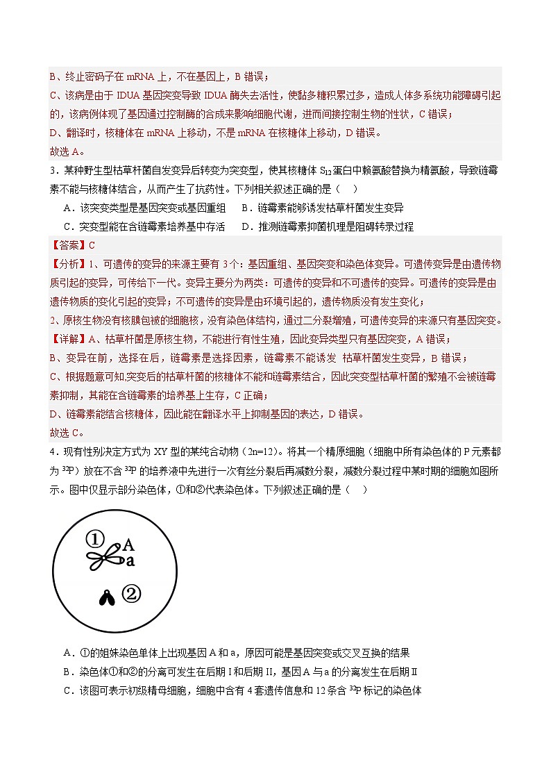 单元检测卷07  变异与进化（解析版）第2页