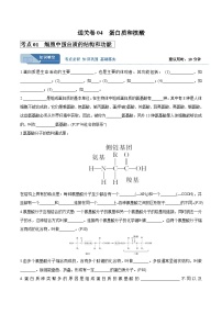 考点04  蛋白质和核酸（讲义）-备战2025年高考生物一轮复习考点（新高考通用）