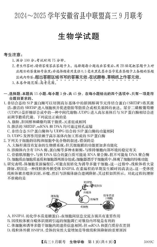 安徽省县中联盟2024-2025学年高三上学期9月联考生物试卷（PDF版附解析）01