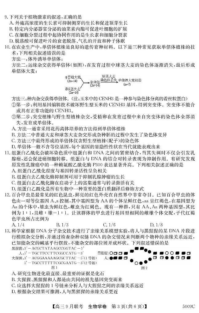 安徽省县中联盟2024-2025学年高三上学期9月联考生物试卷（PDF版附解析）03