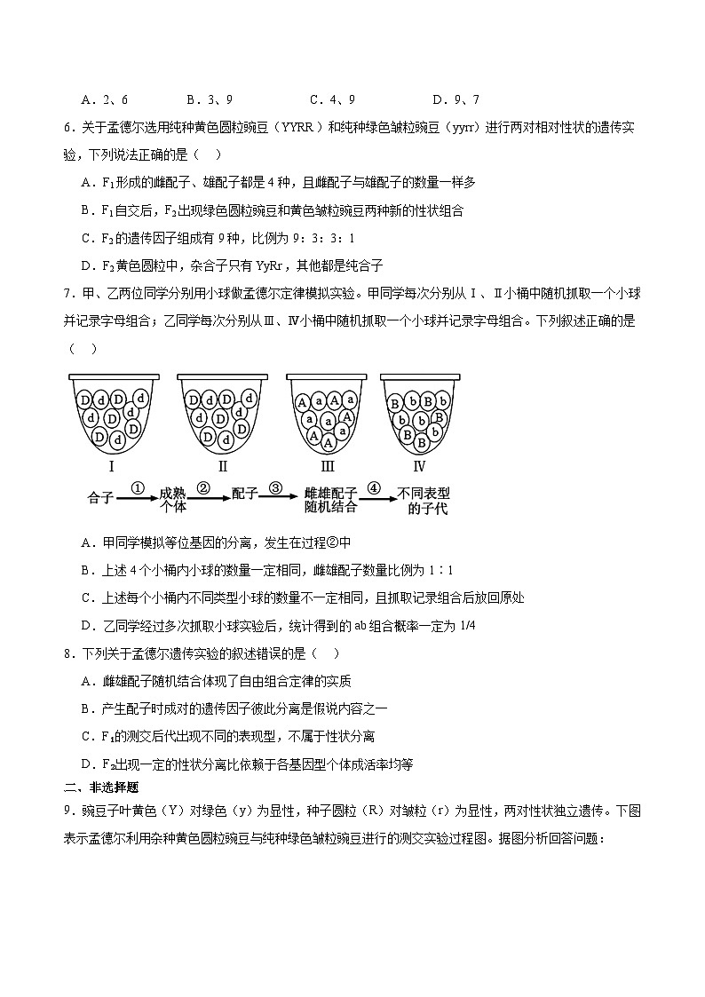 考点通关卷16 基因的自由组合定律（原卷版）第3页