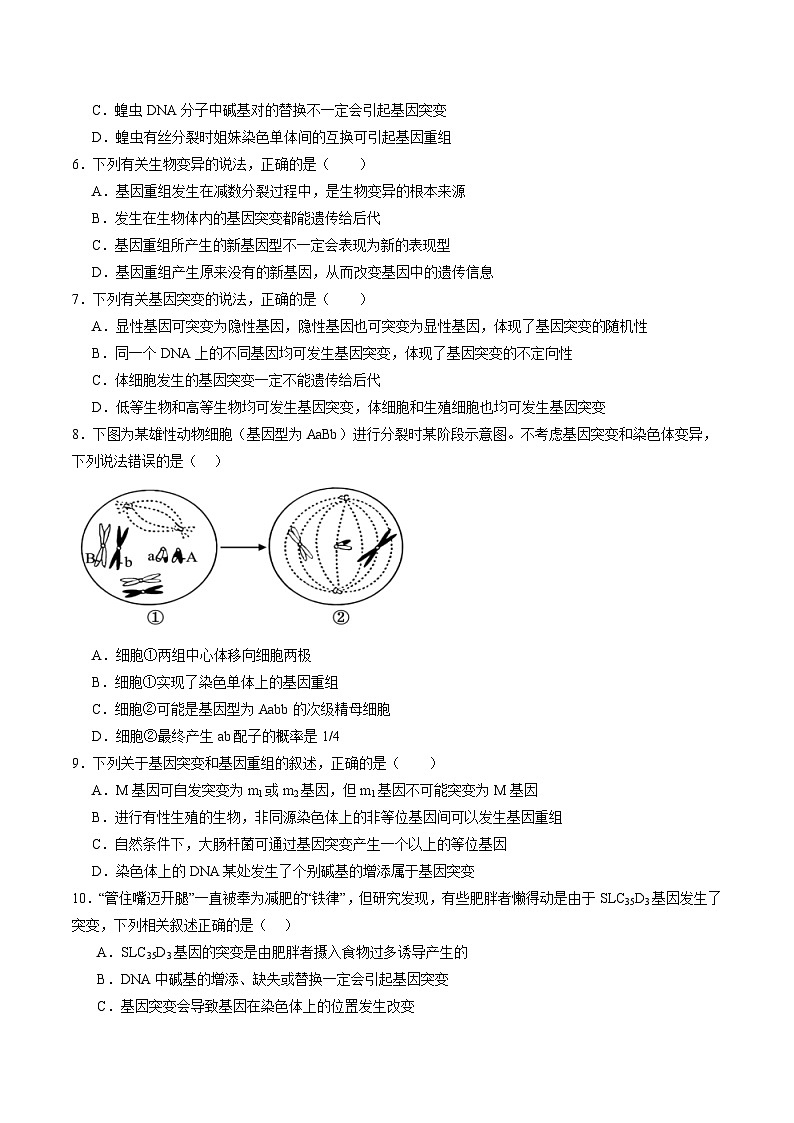 考点通关卷22 生物的变异（原卷版）第3页