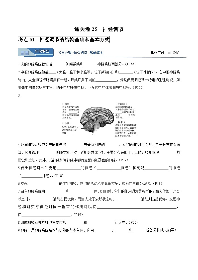 考点通关卷25 神经调节（原卷版）第1页