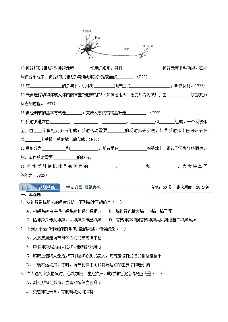 考点通关卷25 神经调节（原卷版）第2页