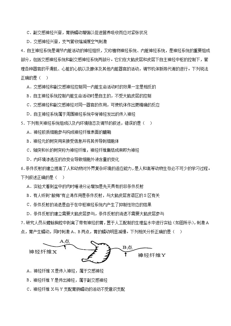 考点通关卷25 神经调节（原卷版）第3页