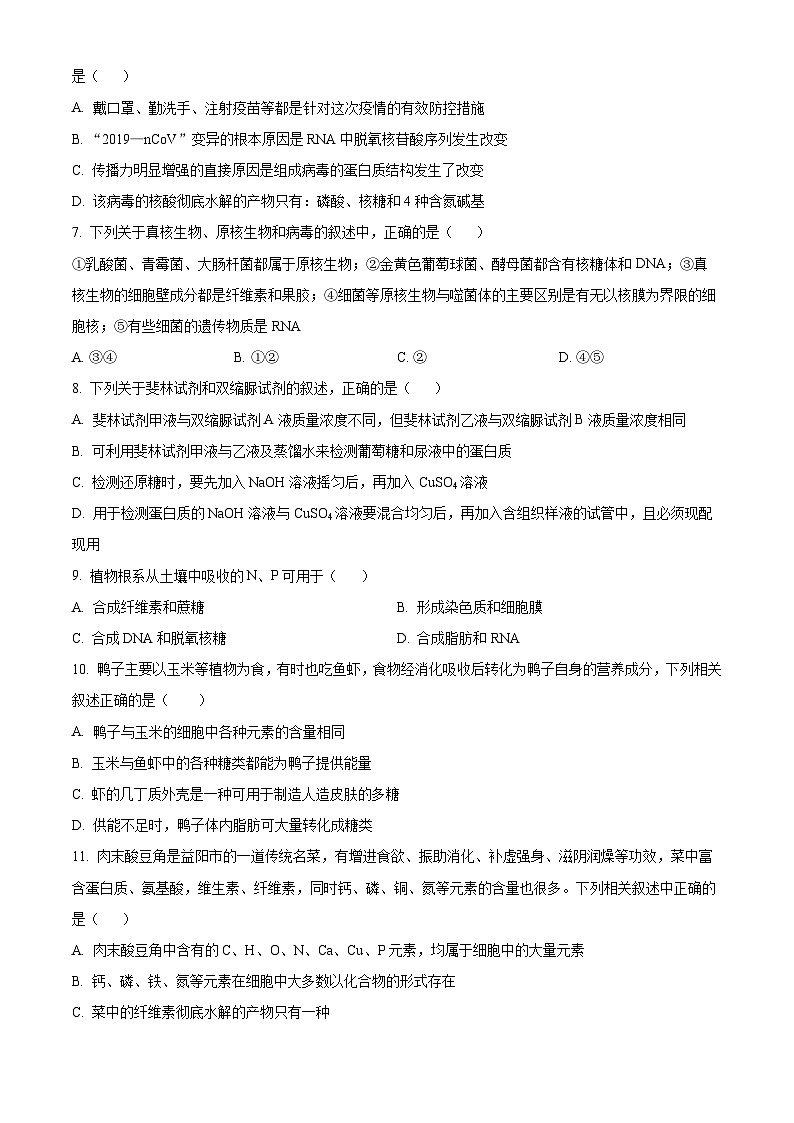 内蒙古自治区赤峰第四中学2024-2025学年高一上学期10月月考生物试题（原卷版）第2页