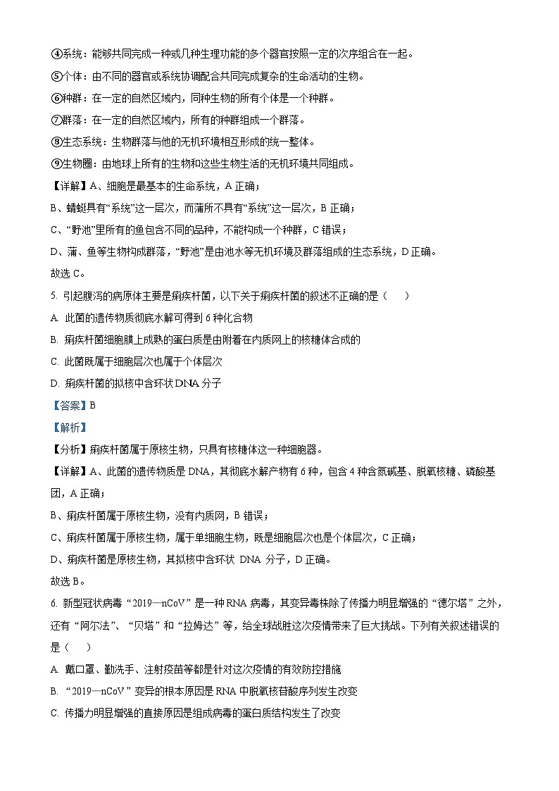 内蒙古自治区赤峰第四中学2024-2025学年高一上学期10月月考生物试题（解析版）第3页