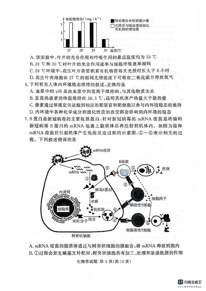 2024-2025湘豫名校联考高三上学期9月新高考适应性调研考试生物试卷及答案第3页