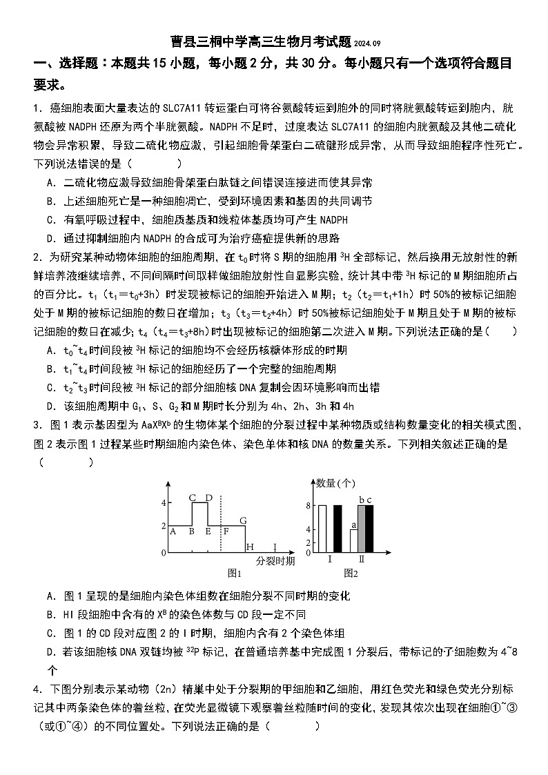 山东省曹县三桐中学2024-2025学年高三上学期9月第一次月考生物试题第1页