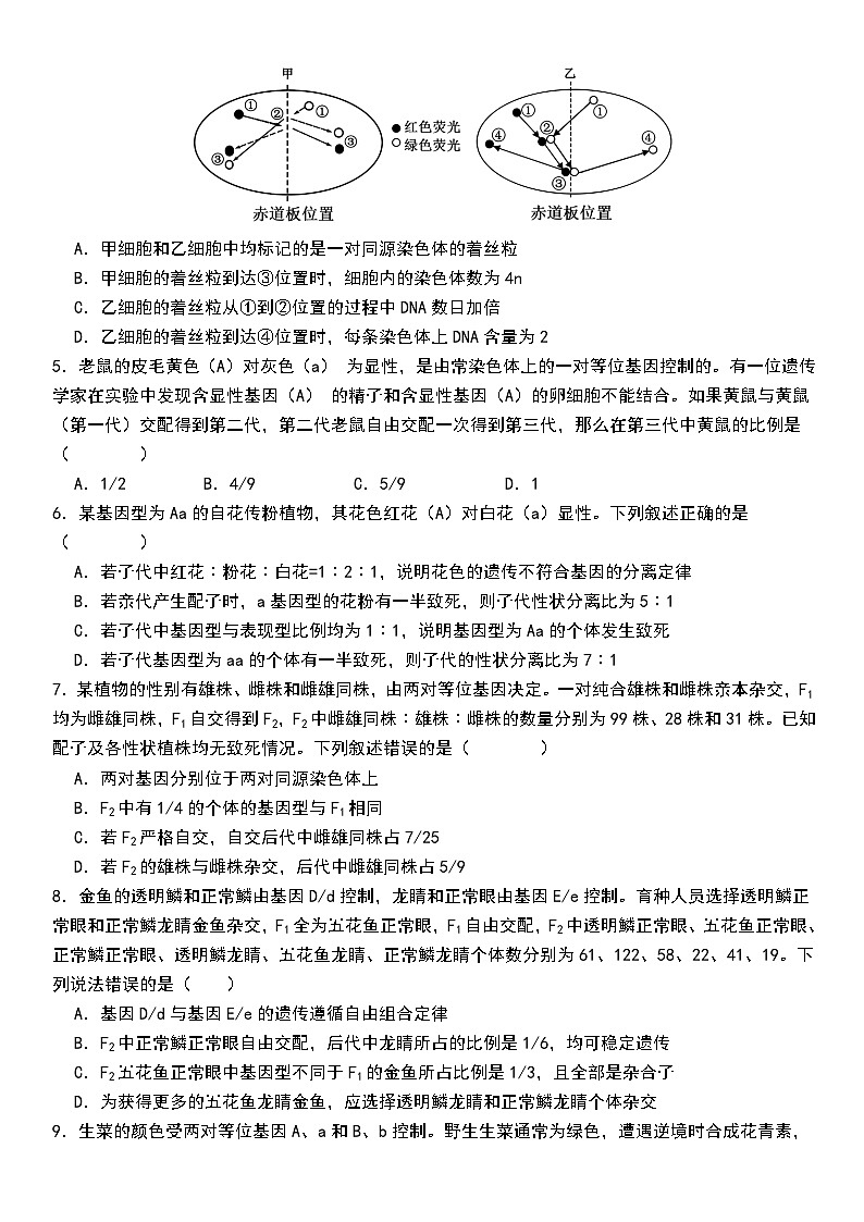 山东省曹县三桐中学2024-2025学年高三上学期9月第一次月考生物试题第2页