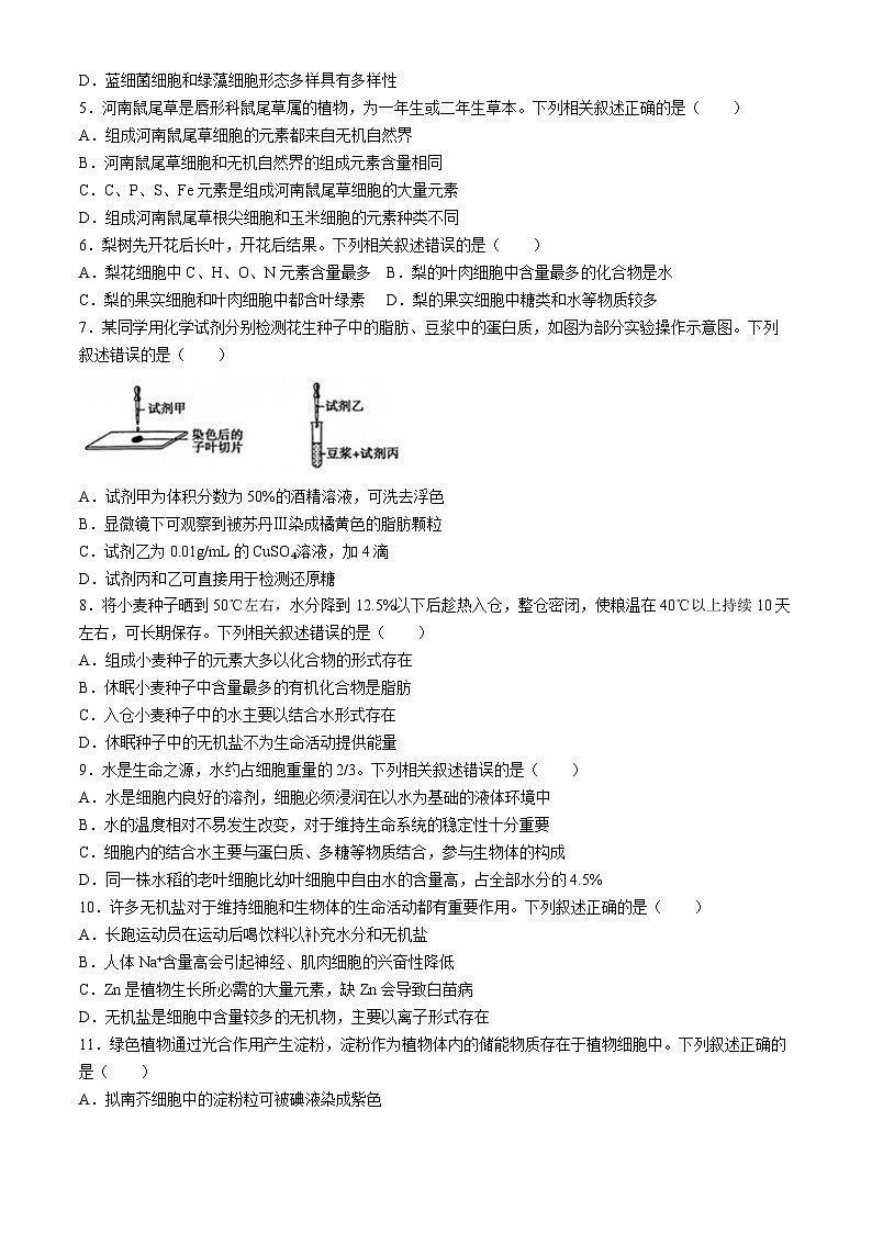 吉林市吉化第一高级中学校2024-2025学年高一上学期9月月考生物试题(无答案)02