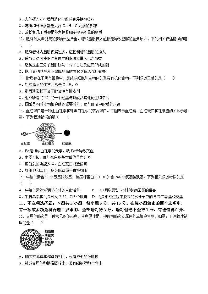吉林市吉化第一高级中学校2024-2025学年高一上学期9月月考生物试题(无答案)03