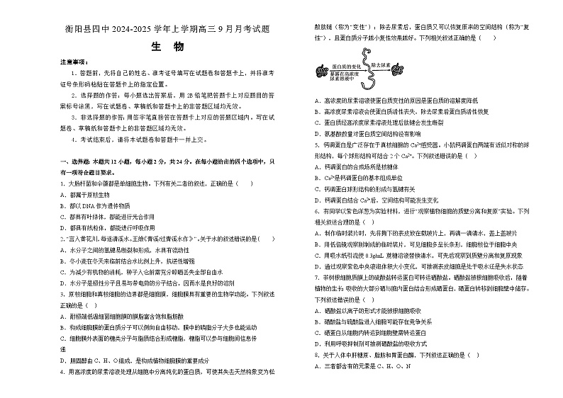湖南省衡阳市衡阳县第四中学2024-2025学年高三上学期9月月考生物试题第1页