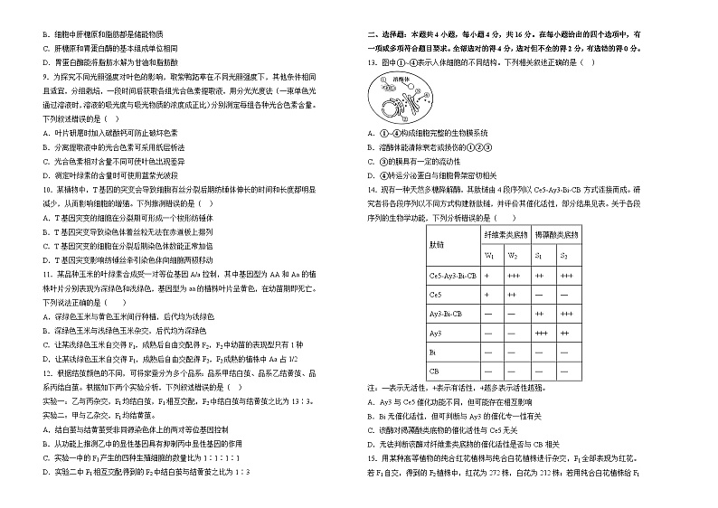 湖南省衡阳市衡阳县第四中学2024-2025学年高三上学期9月月考生物试题第2页