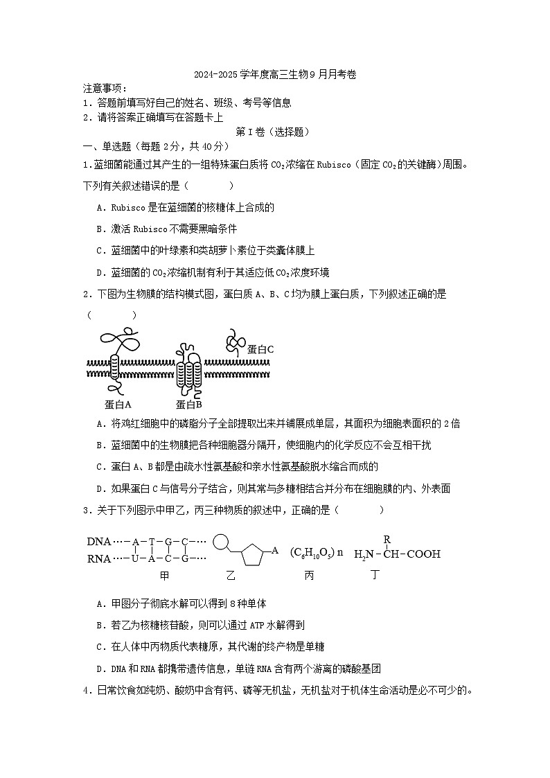 河南省信阳市第一高级中学2024-2025学年高三上学期9月月考生物试卷第1页