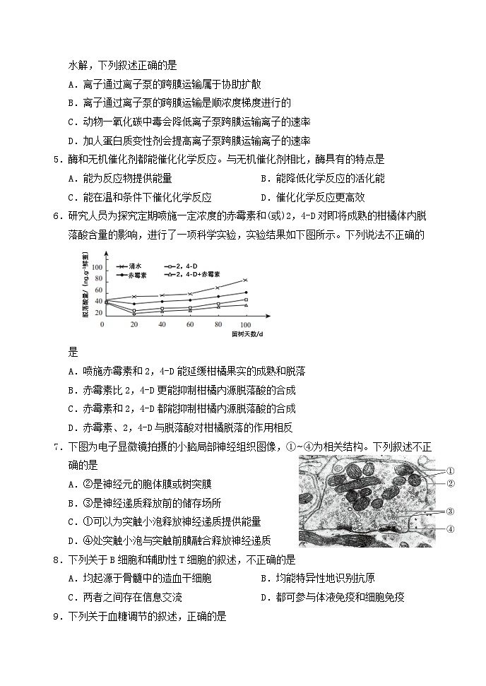 北京市延庆区2024-2025学年高三上学期开学统考生物试卷第2页