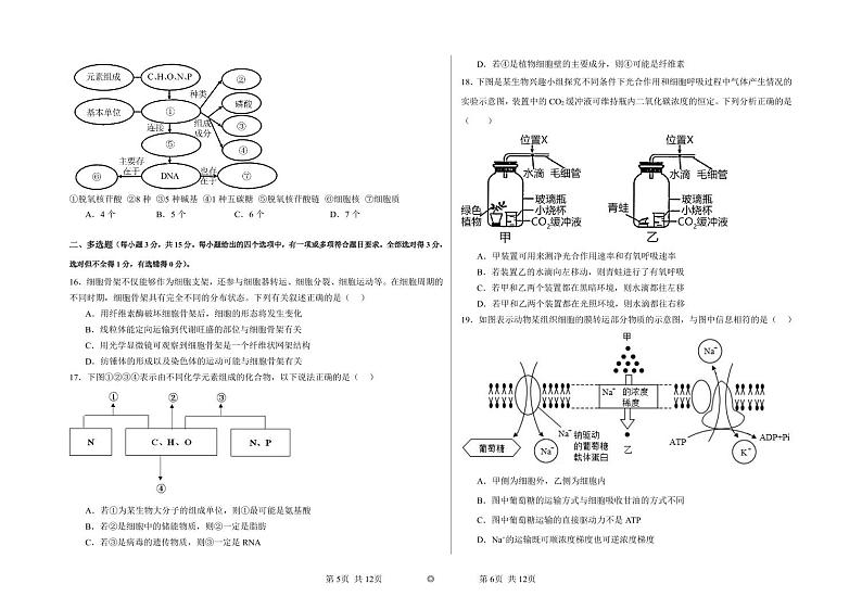内蒙古兴安盟科尔沁右翼前旗第二中学2024-2025学年高三上学期第二次月考生物试题第3页
