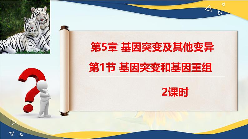 5.1 基因突变和基因重组-2024-2025学年高一生物同步课件（人教版2019必修2）01