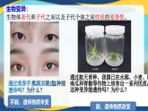 5.1 基因突变和基因重组-2024-2025学年高一生物同步课件（人教版2019必修2）