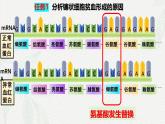 5.1 基因突变和基因重组-2024-2025学年高一生物同步课件（人教版2019必修2）