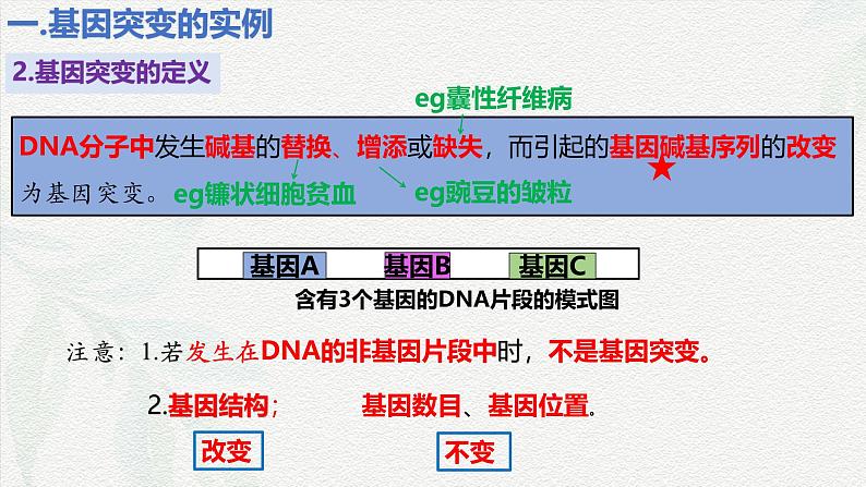 5.1 基因突变和基因重组-2024-2025学年高一生物同步课件（人教版2019必修2）07