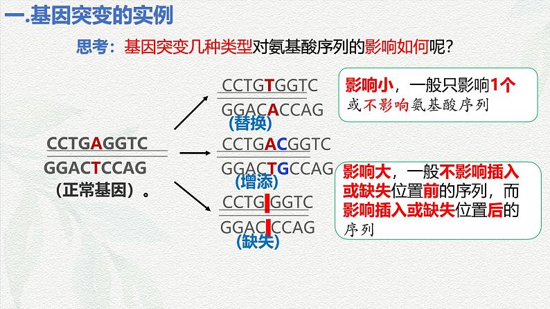 5.1 基因突变和基因重组-2024-2025学年高一生物同步课件（人教版2019必修2）08