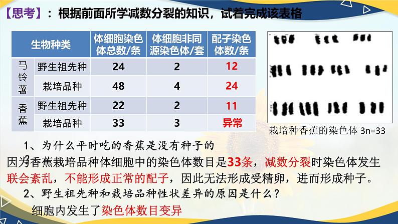 5.2 染色体变异-2024-2025学年高一生物同步备课课件（人教版2019必修2）03