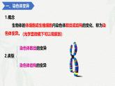 5.2 染色体变异-2024-2025学年高一生物同步课件（人教版2019必修2） (2)