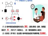 5.3 人类遗传病-2024-2025学年高一生物同步课件（人教版2019必修2）