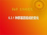 6.3 种群基因组成的变化（第1课时）-2024-2025学年高一生物下学期同步课件（人教版2019必修2）