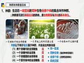 6.3 种群基因组成的变化（第1课时）-2024-2025学年高一生物下学期同步课件（人教版2019必修2）